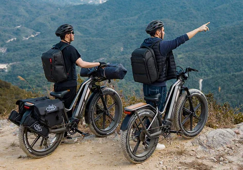 Vélo randonnée électrique