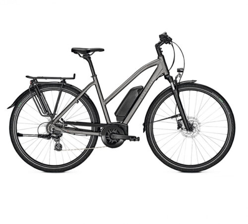 VTC ÉLECTRIQUE ENDEAVOUR 1.B MOVE 500WH CADRE MIXTE (2020)