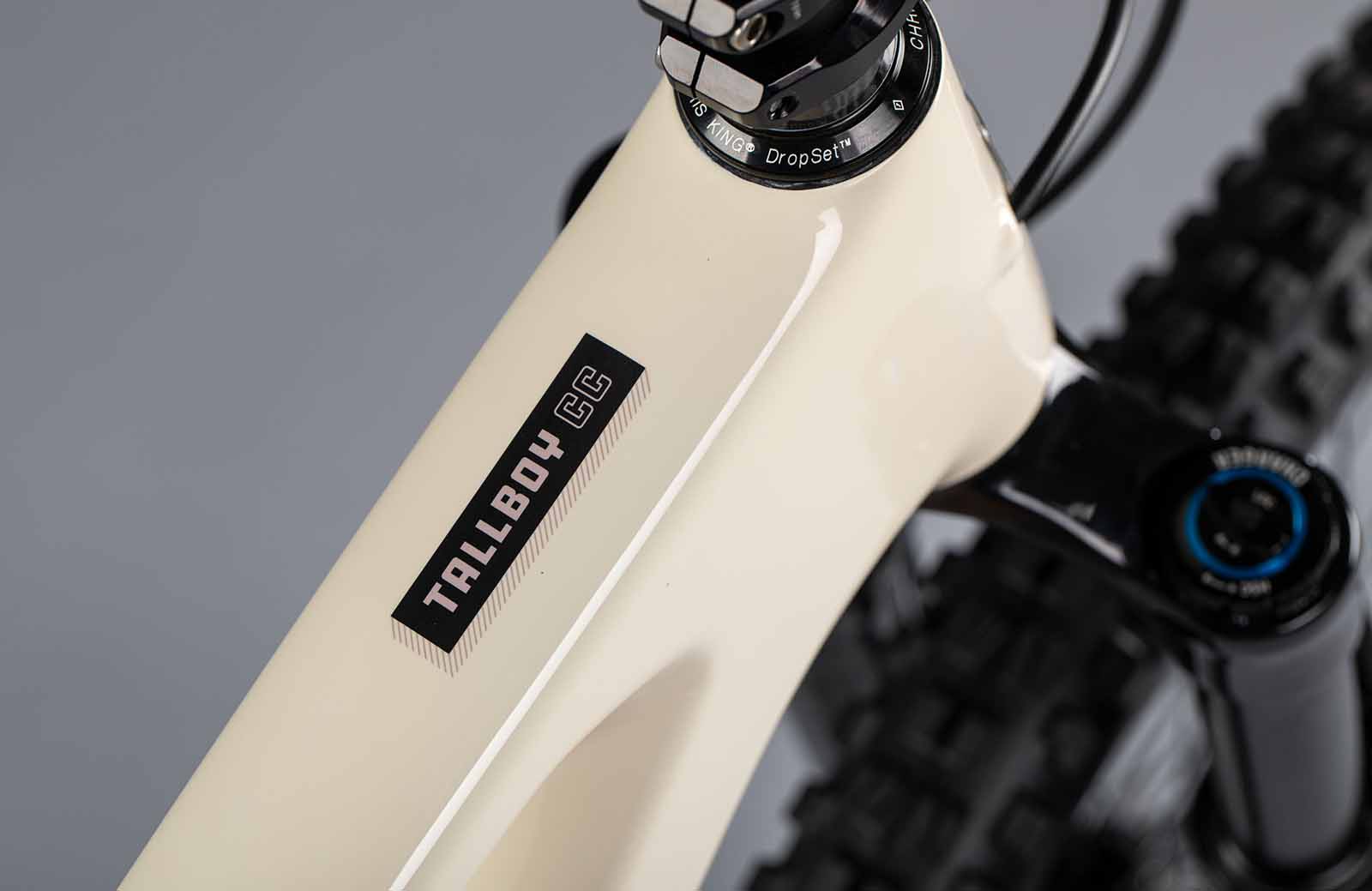 Santa Cruz Tallboy 2021 – Image 8